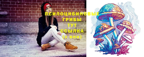 spice Горнозаводск