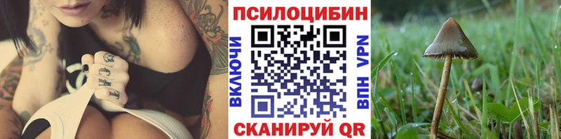 Псилоцибиновые грибы мицелий  Заполярный 